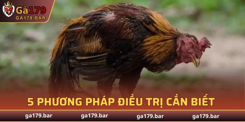 5 phương pháp điều trị cần biết