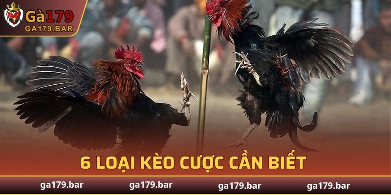 6 loại kèo cược cần biết