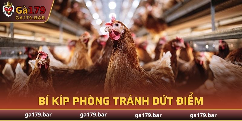 Bí kíp phòng tránh dứt điểm