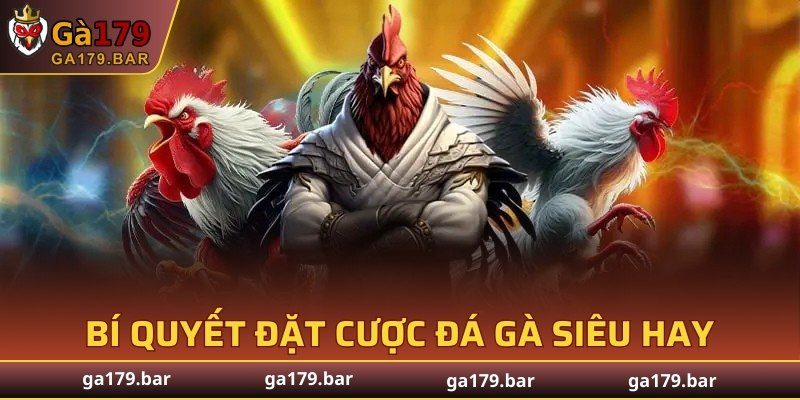 Bí quyết đặt cược đá gà siêu hay