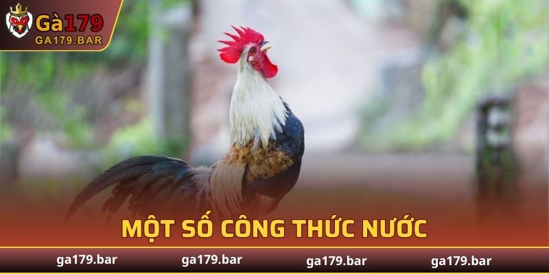 Bí quyết om bóp gà chọi với một số công thức nước