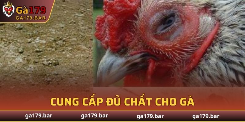Biện pháp ngăn chặn lây lan