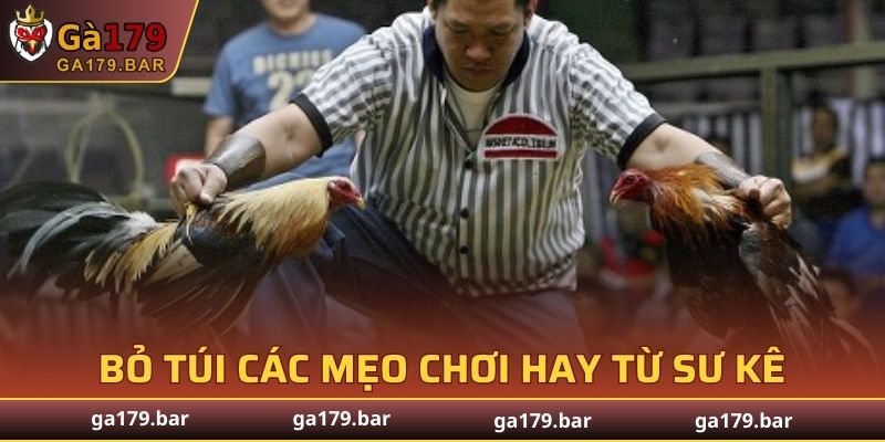 Bỏ túi các mẹo chơi hay từ sư kê để tăng cơ hội thắng