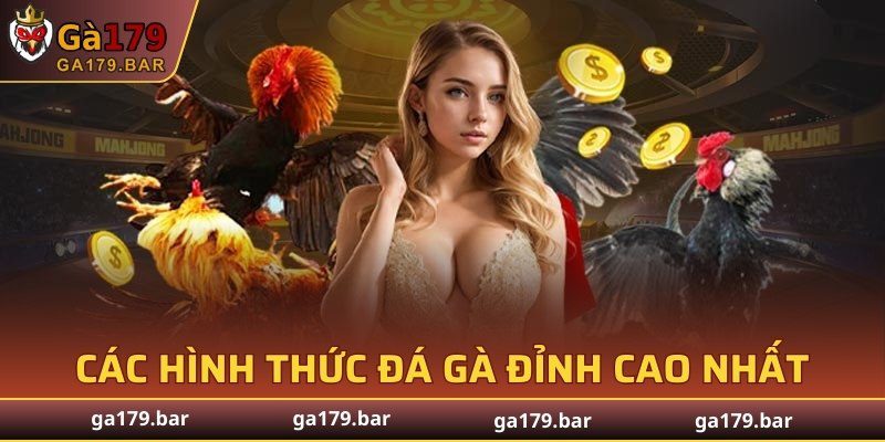 Các hình thức đá gà đỉnh cao nhất