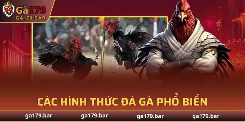 Các hình thức đá gà phổ biến