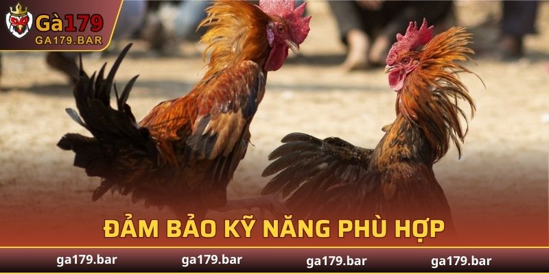 Các kỹ thuật cần thực hiện