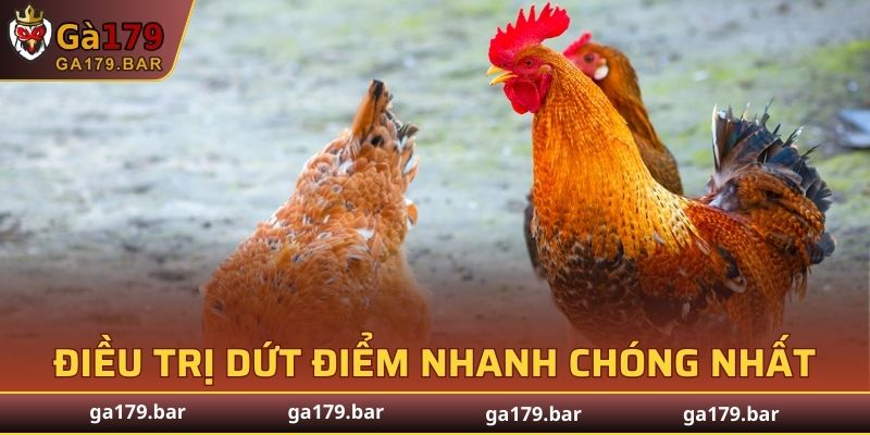 Cách điều trị dứt điểm nhanh chóng nhất