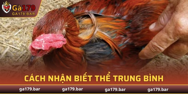 Cách nhận biết thể trung bình