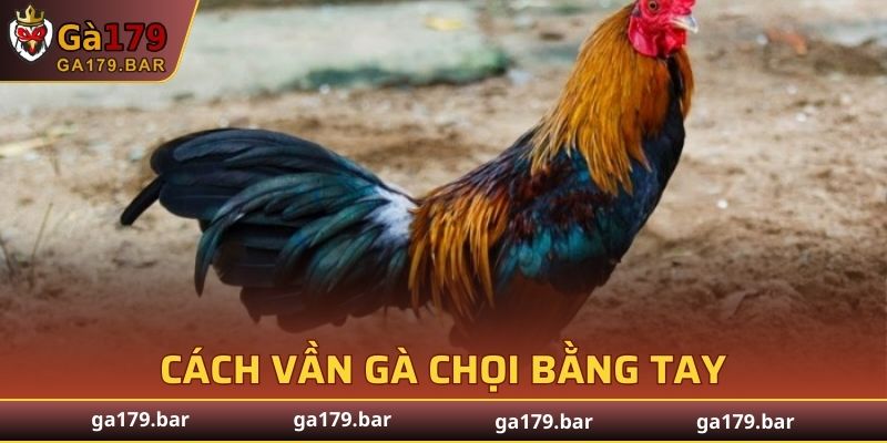 Cách vần gà chọi bằng tay