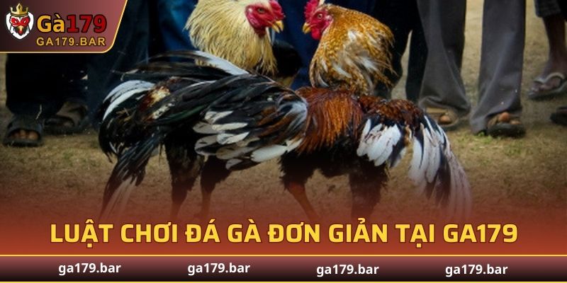 Chia sẻ luật chơi đá gà đơn giản tại GA179