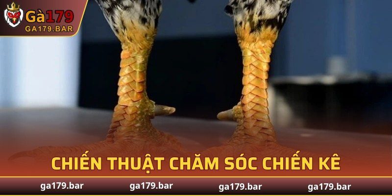 Chiến thuật chăm sóc chiến kê