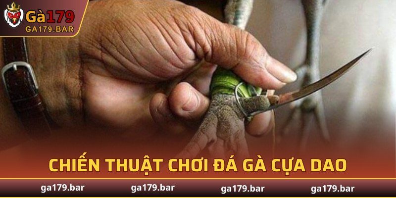 Chiến thuật chơi đá gà cựa dao