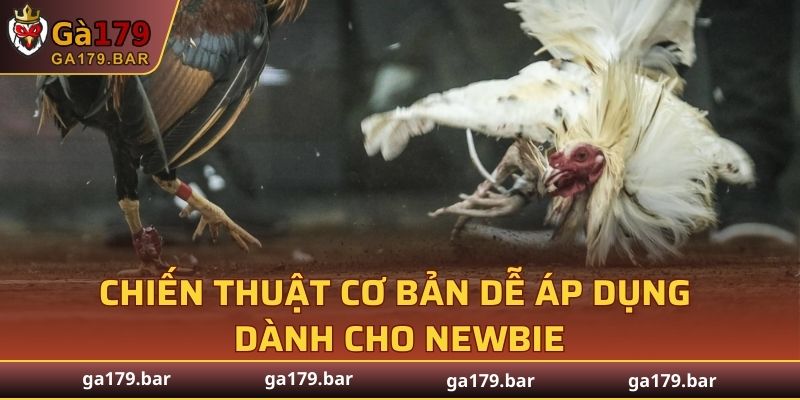 Chiến thuật cơ bản dễ áp dụng cho newbie