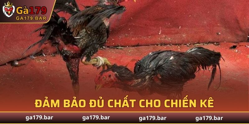 Chú ý đến chế độ dinh dưỡng tăng chiến thắng