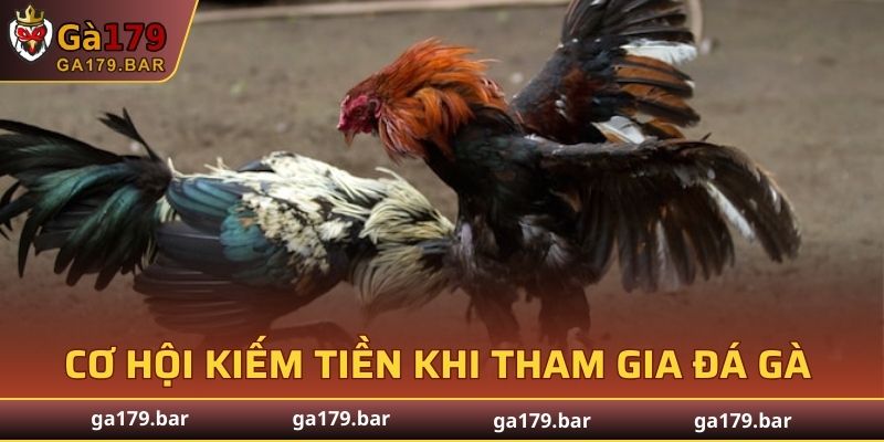 Cơ hội kiếm tiền khi tham gia đá gà tại GA179