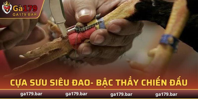 Cựa sưu siêu đao được ví như những chiến binh tinh nhuệ trong thế giới đá gà