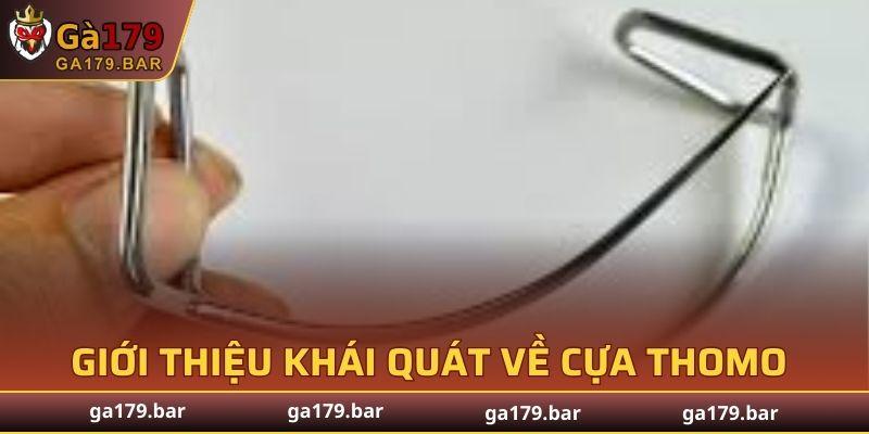 Cựa Thomo ra đời và phát triển từ những năm đầu của nền đá gà