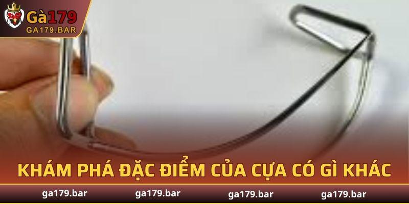 Cựa Thomo thường được gắn ở vị trí đặc biệt trên chân gà