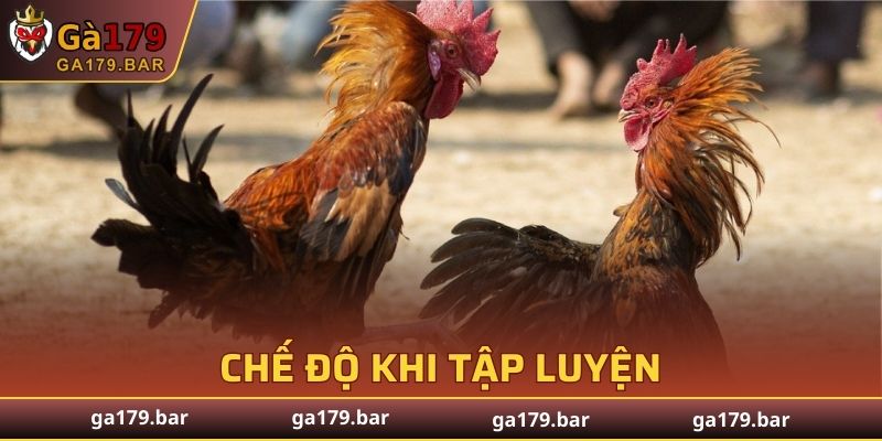Cung cấp chất khi huấn luyện