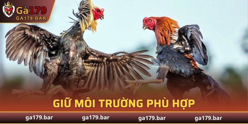 Đảm bảo về môi trường tập