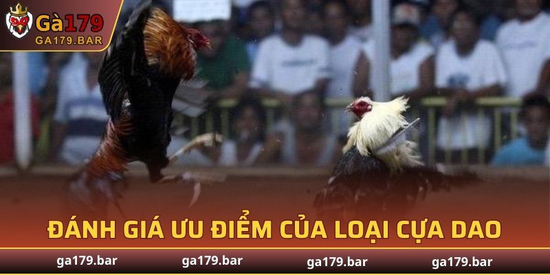Đánh giá ưu điểm của loại cựa dao