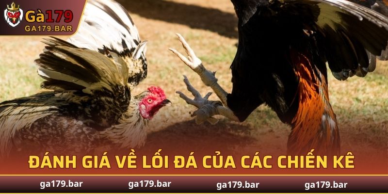 Đánh giá về lối đá của các chiến kê