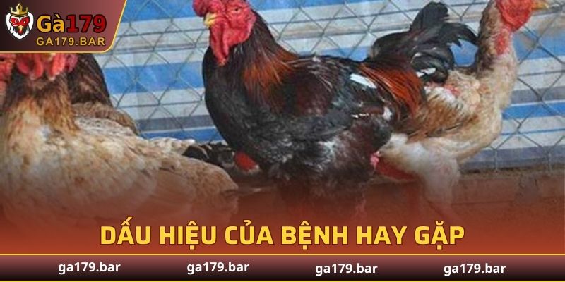 Dấu hiệu của triệu chứng phổ biến