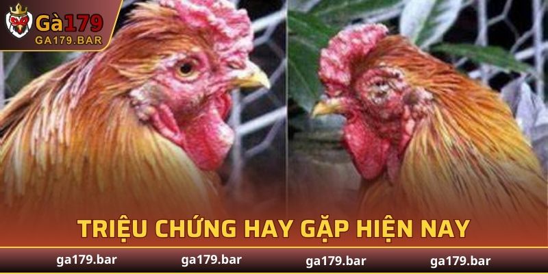 Dấu hiệu dễ nhìn nhận thấy nhất