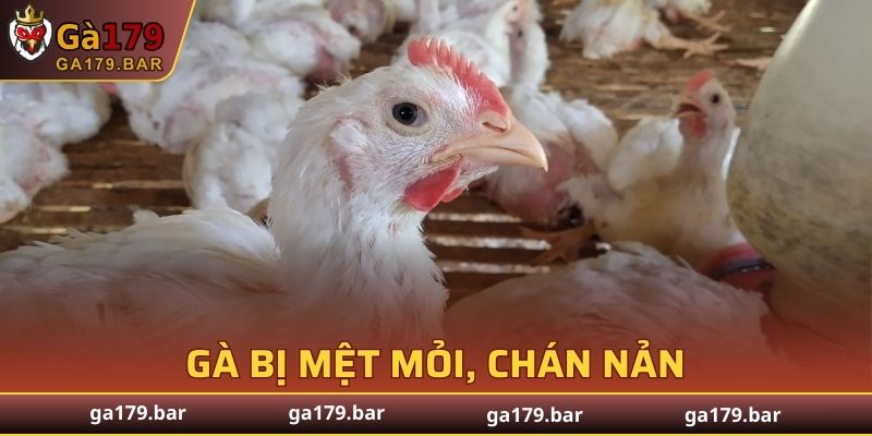 Dấu hiệu mệt mỏi