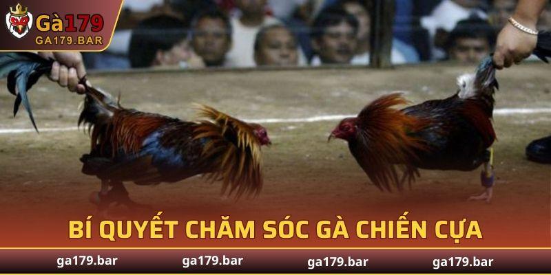 Dinh dưỡng là yếu tố then chốt quyết định thể lực và sức mạnh