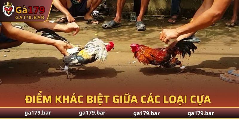 Độ sát thương cực kỳ mạnh mẽ khi ra đòn quyết định