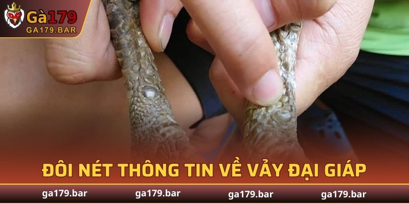 Đôi nét thông tin về Vảy Đại Giáp