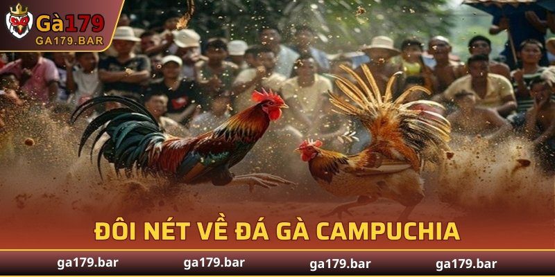 Đôi nét về đá gà Campuchia