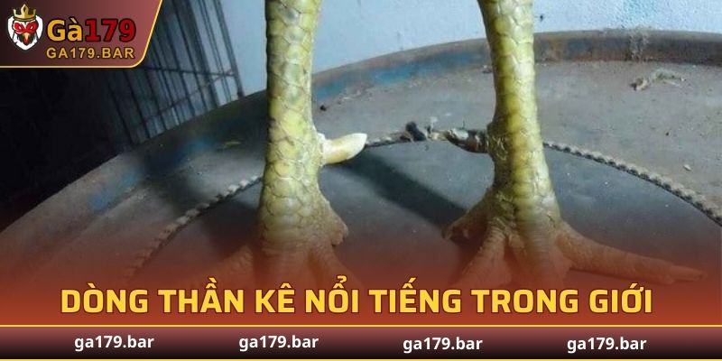 Dòng thần kê nổi tiếng trong giới