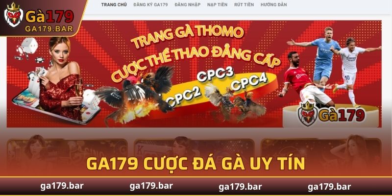 GA179 cung cấp dịch vụ cược đá gà uy tín
