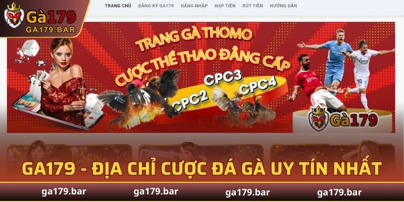 GA179 - địa chỉ cược đá gà uy tín nhất thị trường