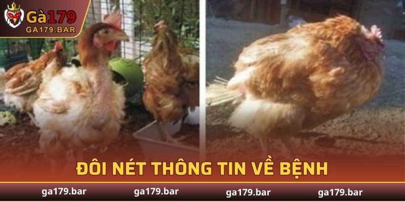Giới thiệu cơ bản về bệnh viêm phổi