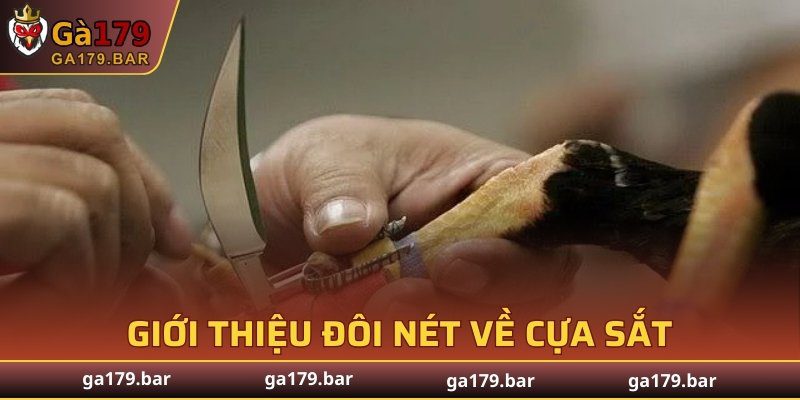 Giới thiệu đôi nét về cựa sắt
