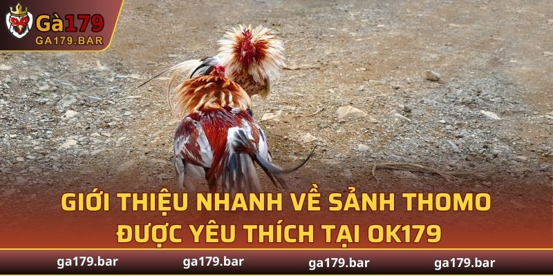 Giới thiệu nhanh về sảnh Thomo được yêu thích tại GA179