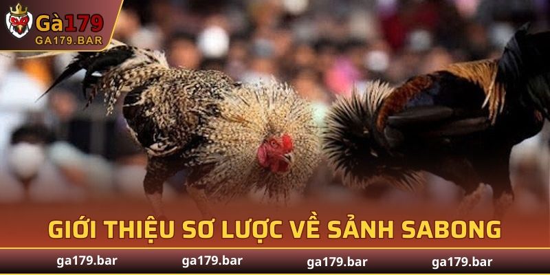 Giới thiệu sơ lược về sảnh Sabong