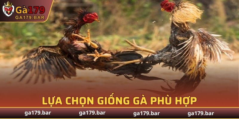 Giống phổ biến khi huấn luyện