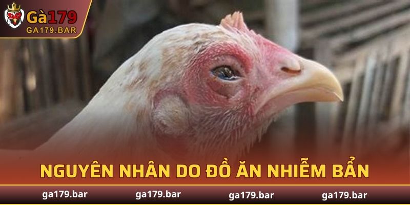 Hình thành do thức ăn