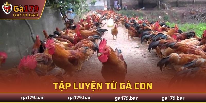 Huấn luyện từ khi nhỏ