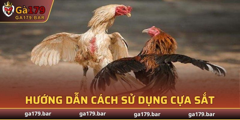 Hướng dẫn cách sử dụng cựa sắt