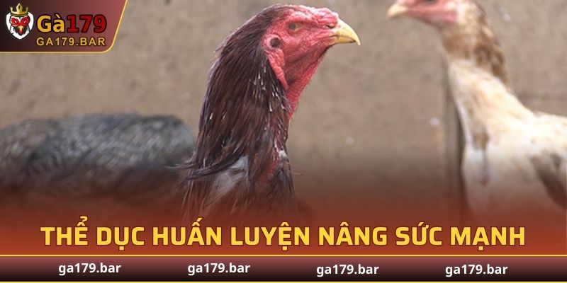 Kết hợp thêm các bài đào tạo