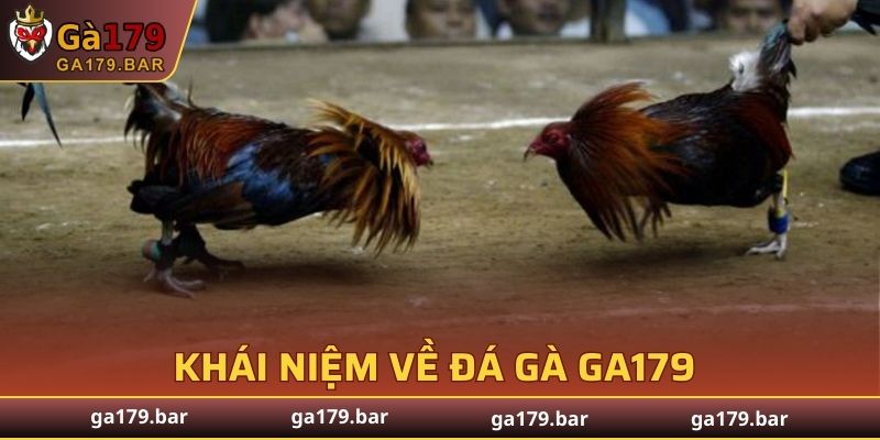 Khái niệm về đá gà GA179