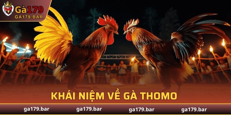 Khái niệm về gà Thomo