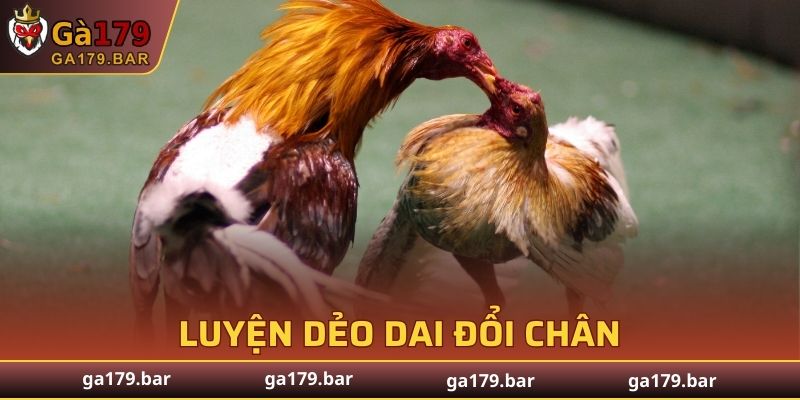 Lịch trình huấn luyện chi tiết