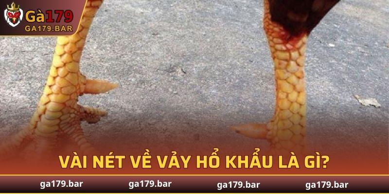 Loại vảy có nét tương đồng với Hàm Long