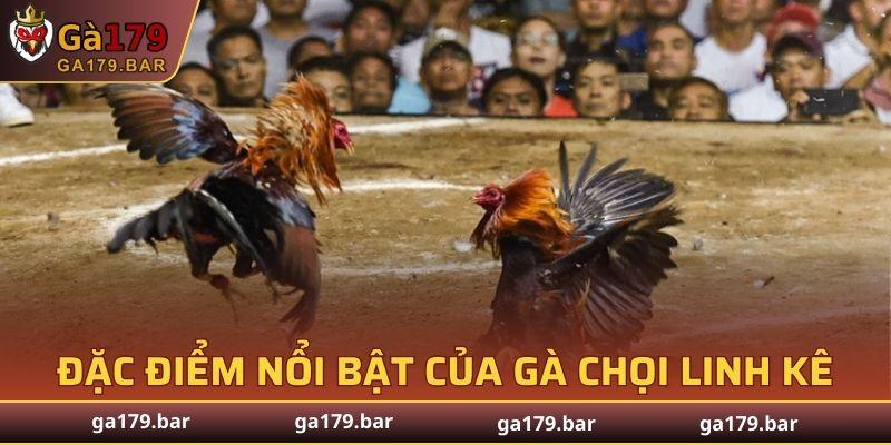 Màu lông có độ óng mượt, lấp lánh dưới ánh nắng